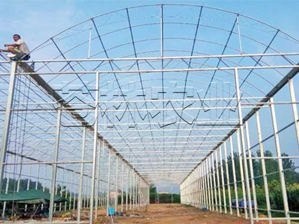 溫室骨架 (3)