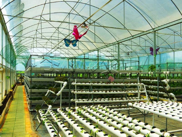 無(wú)土栽培 (4)