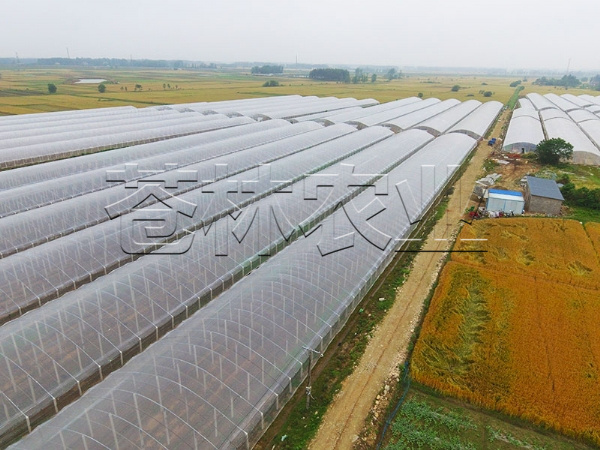 春秋拱棚、保溫拱棚溫室