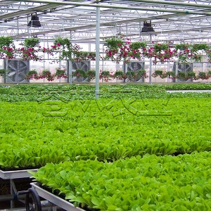 <img src=upfile/images/2019/08/22/small4_15664390957161375.jpg >