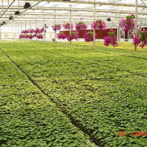 <img src=upfile/images/2019/08/22/small4_15664395855118192.jpg >