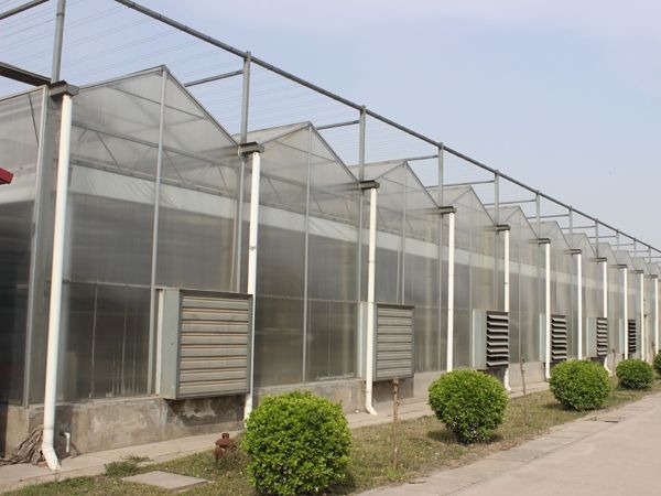 陽(yáng)光板溫室 (4)
