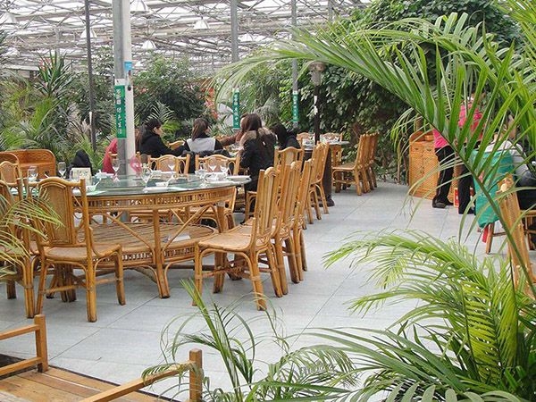 生態(tài)餐廳 (15)