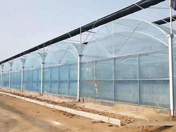 連棟薄膜溫室 (16)