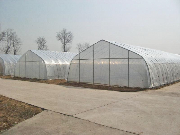 春秋保溫拱棚 (9)