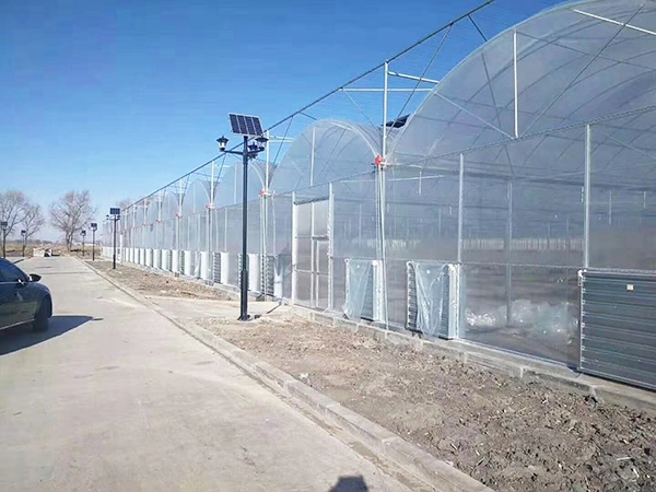 連棟薄膜溫室 (1)