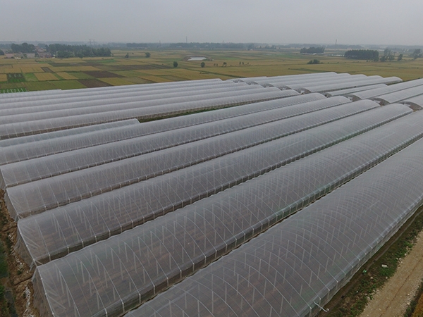 微信圖片_20190806100046