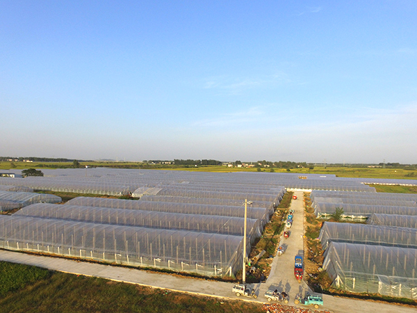 春秋拱棚、保溫拱棚溫室